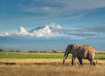 7 Day Kenya Safari Itinerary 2027