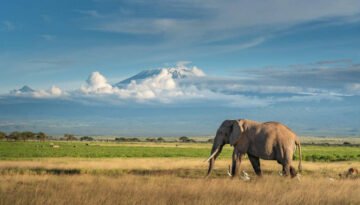 7 Day Kenya Safari Itinerary 2027