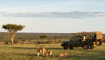 Mara Naboisho Conservancy Safari