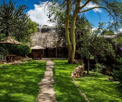 Borana Lodge