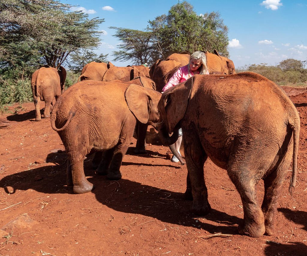 David Sheldrick Wildlife Trust