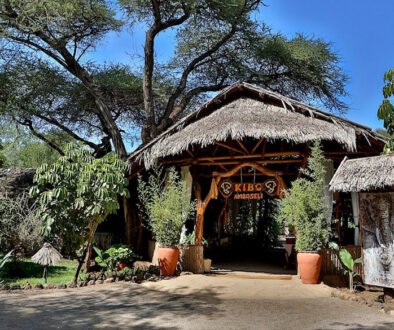Kibo Safari Camp