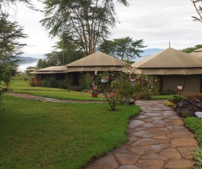 Lake Elmenteita Serena Camp