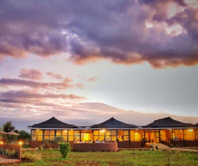 Praro Amboseli