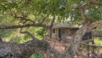 Sarara Treehouses