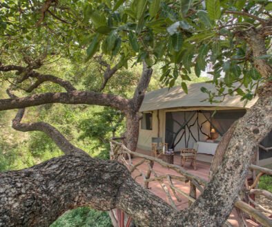 Sarara Treehouses