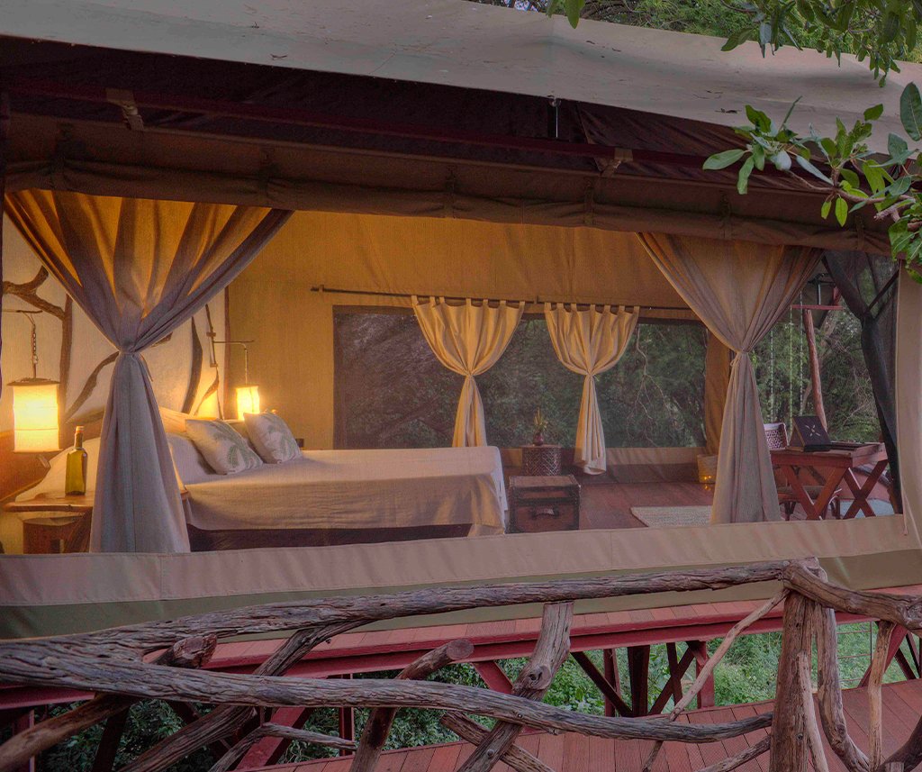 Sarara Treehouses