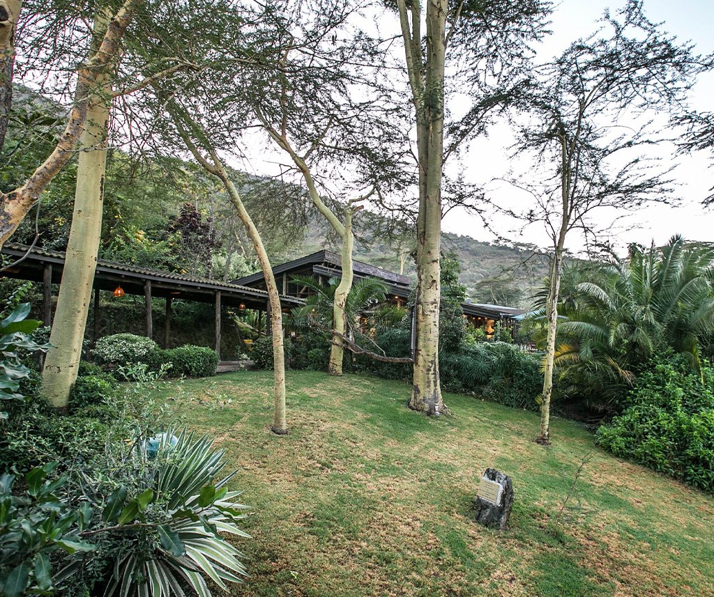 Sarova Lion Hill Game Lodge 