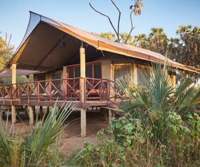 Elephant Bedroom Camp