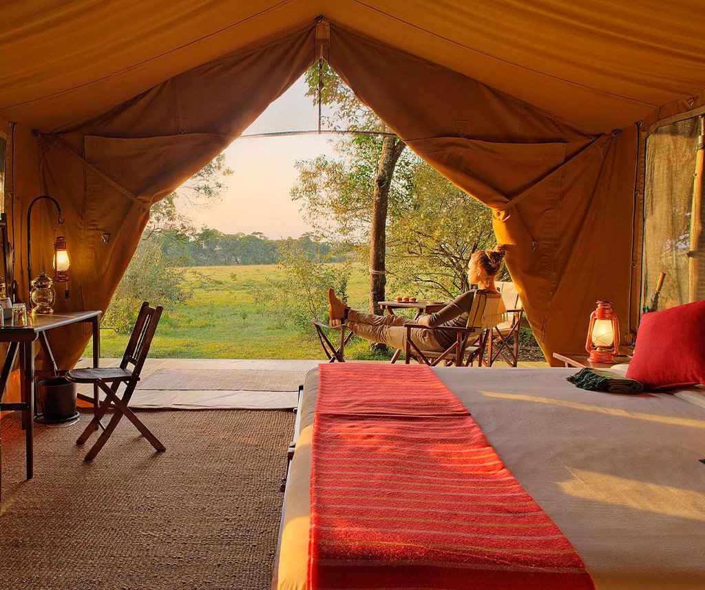 elephant-pepper-camp