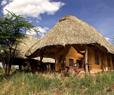 Lewa Safari Camp by Elewana