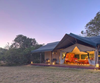 Kicheche Laikipia Camp