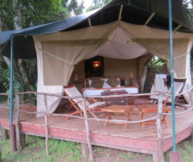 Mara Explorer Camp