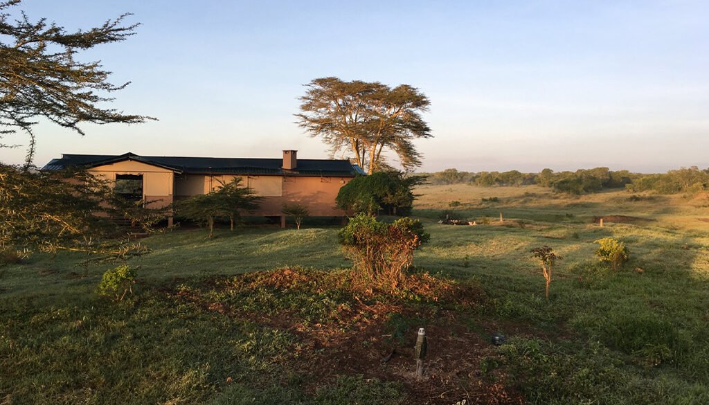 Asilia Ol Pejeta Bush Camp