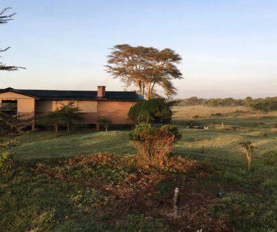 Asilia Ol Pejeta Bush Camp