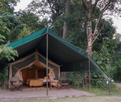 Little Governors’ Camp