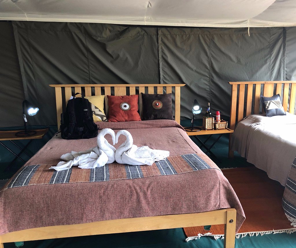 Porini Lion Camp