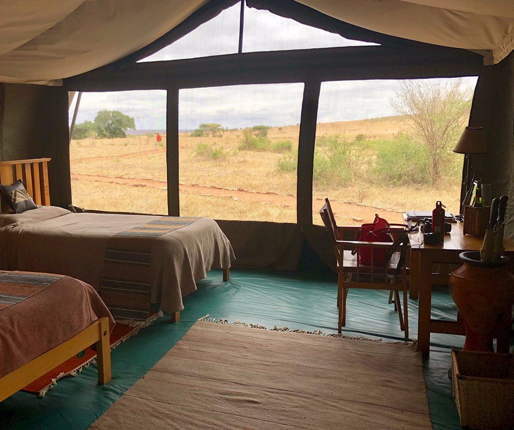 Porini Lion Camp