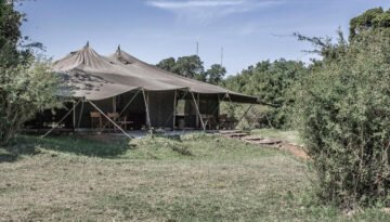 Porini Lion Camp