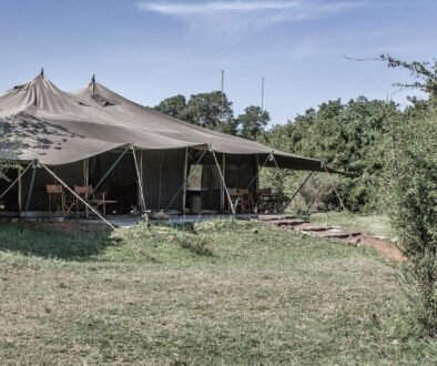 Porini Lion Camp