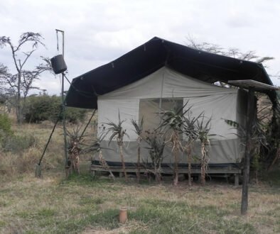 Porini Mara Camp