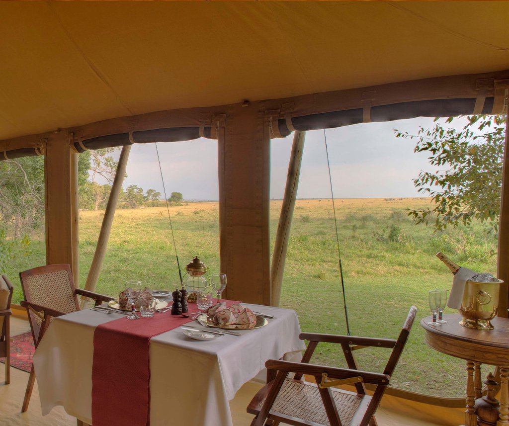 Elephant Pepper Camp