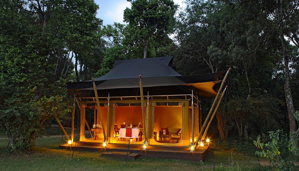 Elephant Pepper Camp