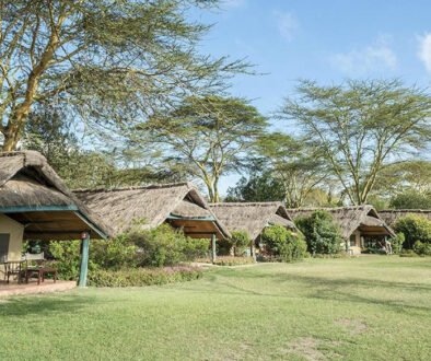 Sweetwaters Serena Camp