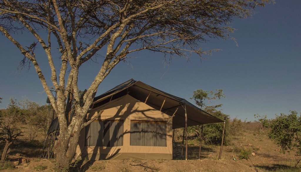 Porini Cheetah Camp