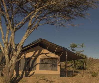 Porini Cheetah Camp