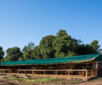 Offbeat Mara Camp