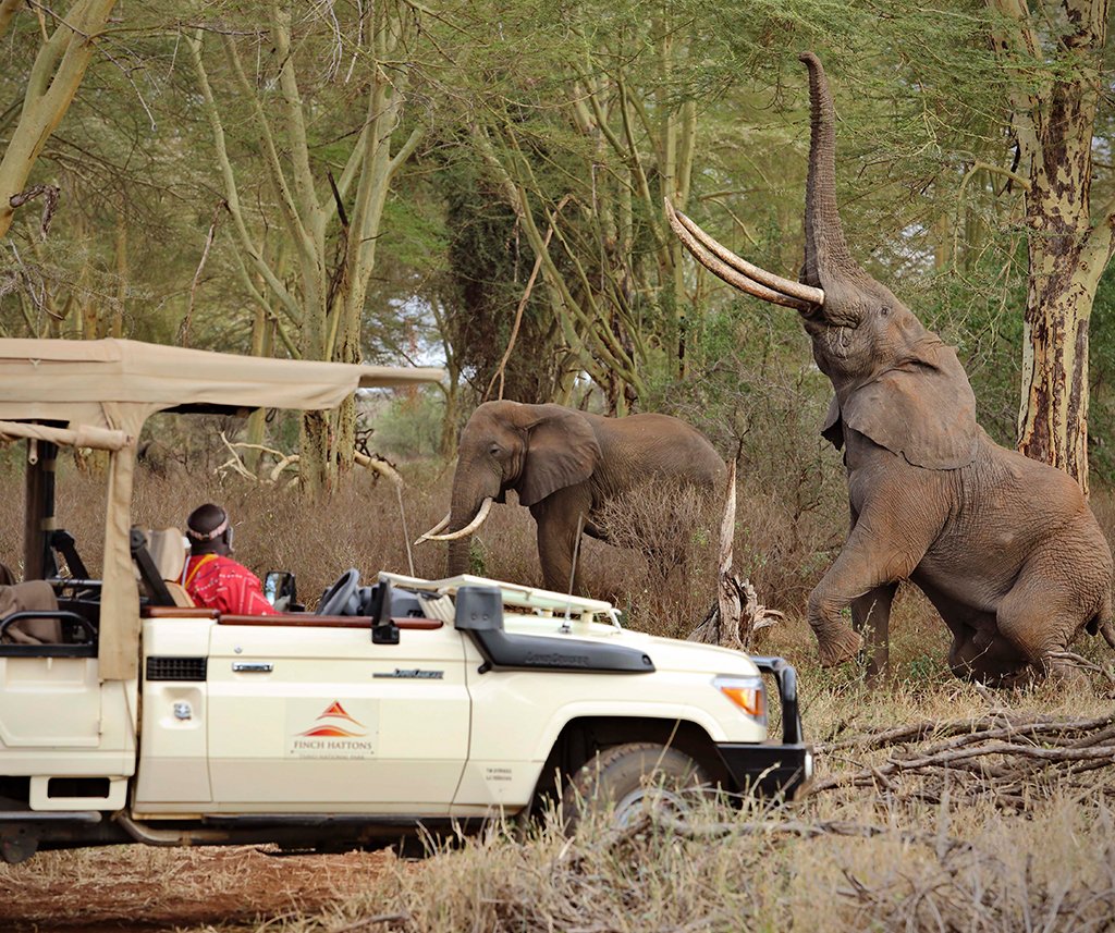 Finch Hattons Luxury Tented Camp