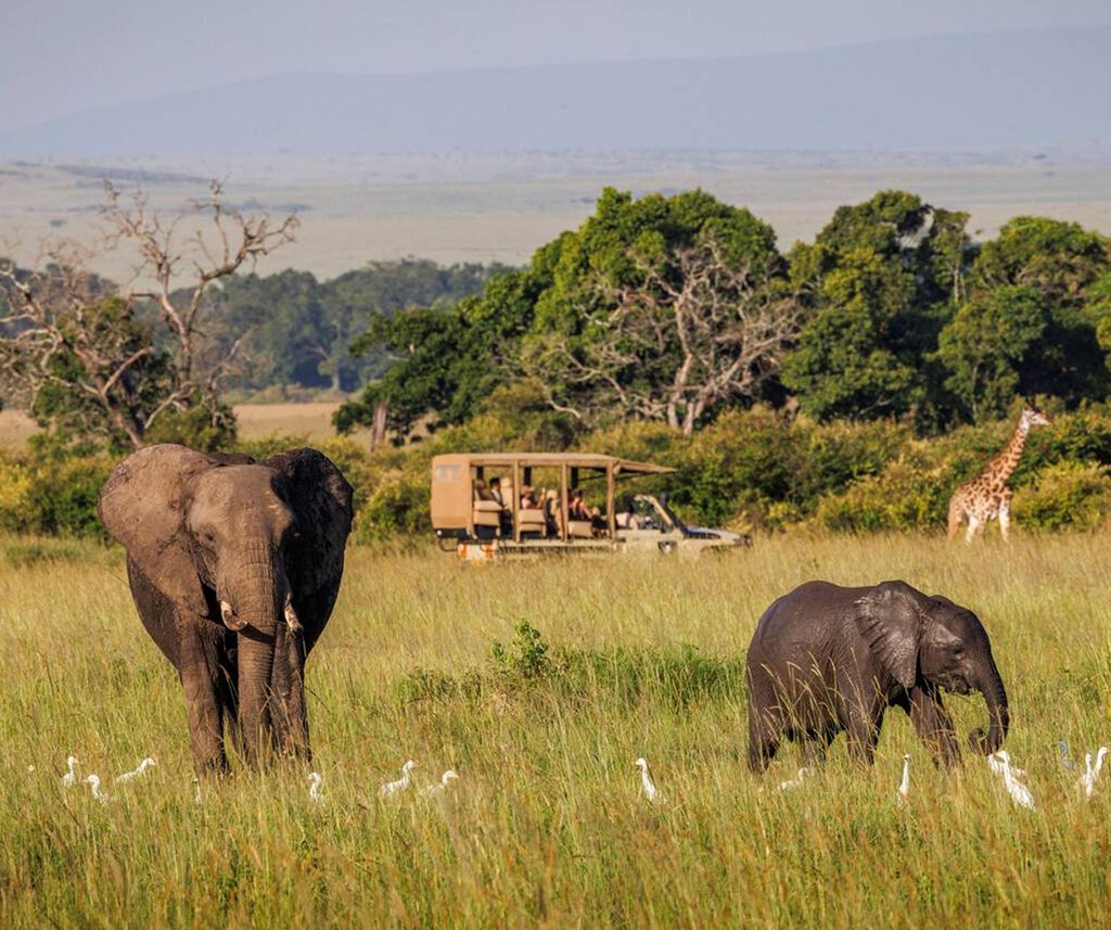 eco luxury safari in Kenya