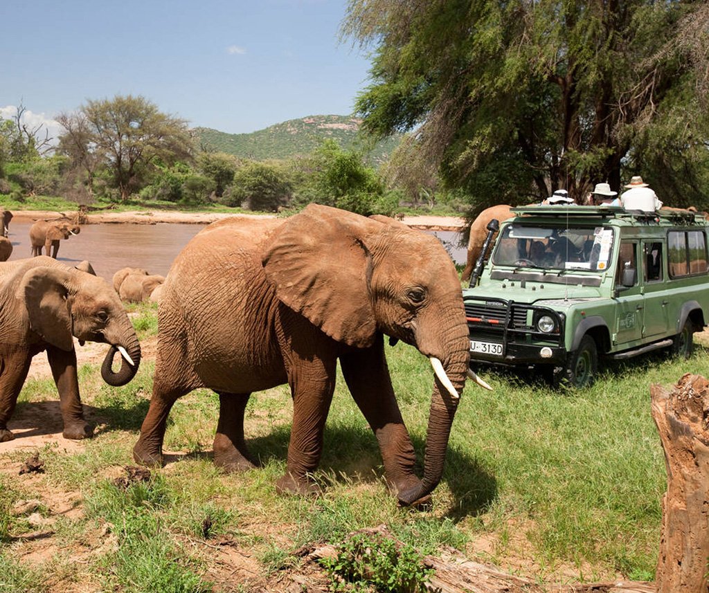 Luxury Masai Mara Safari