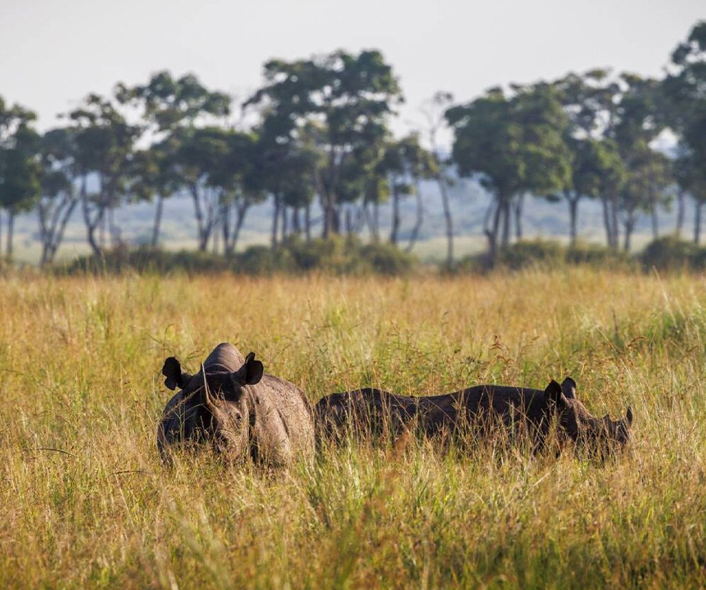 eco luxury safari in Kenya