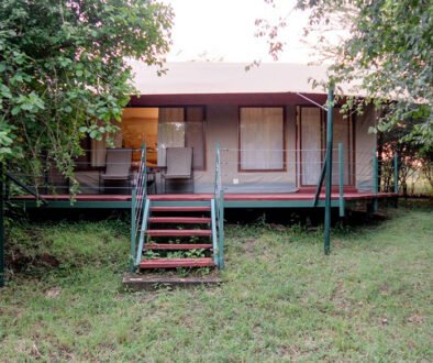eco luxury safari in Kenya