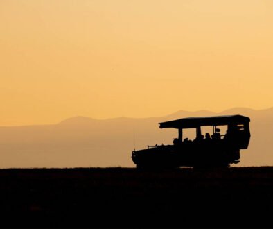 Laikipia Luxury Safari