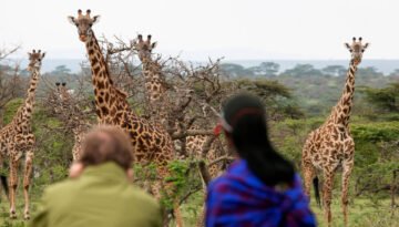 Sustainable Tourism in Kenya