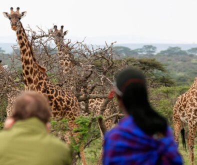 Sustainable Tourism in Kenya