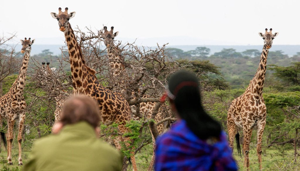 Sustainable Tourism in Kenya