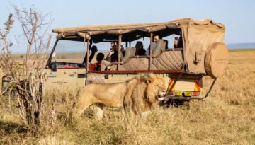 Luxury Masai Mara Safari