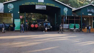 Ngorongoro Crater Safari