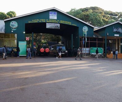 Ngorongoro Crater Safari
