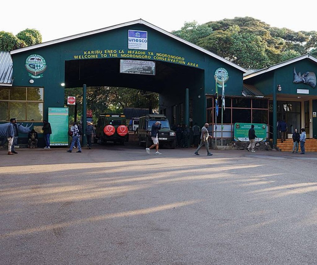 Ngorongoro Crater Safari