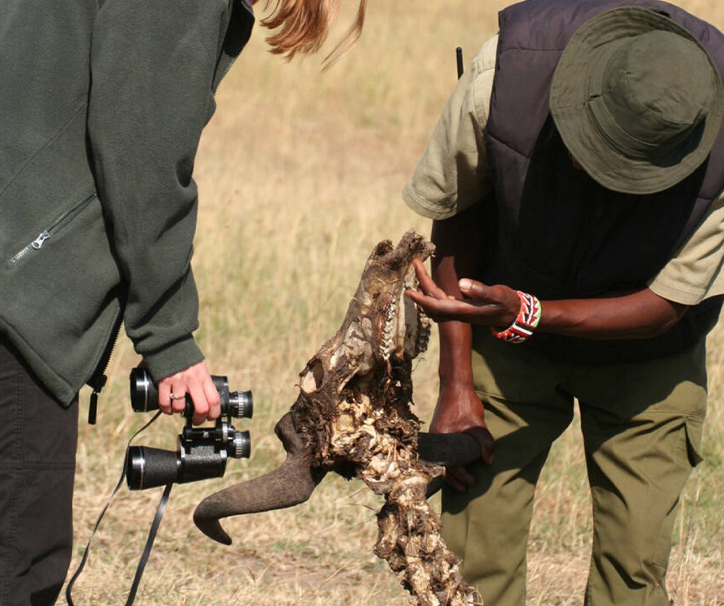 conservation safari in Kenya