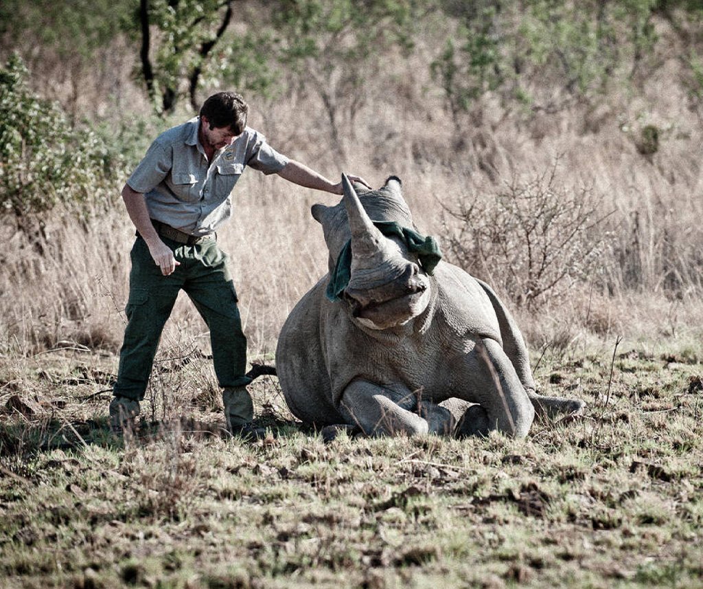 wildlife conservation volunteer tour in Kenya