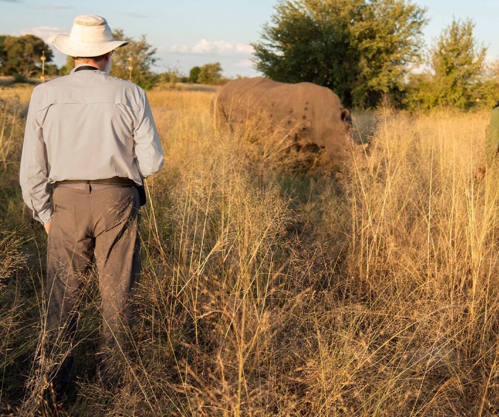 wildlife conservation volunteer tour in Kenya