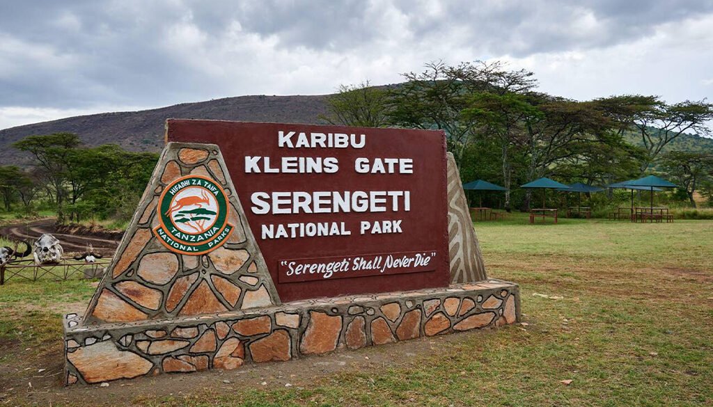 Serengeti safari in Tanzania