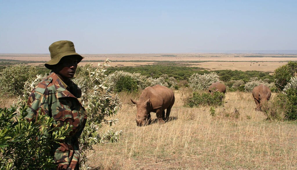 Conservation Safaris in Kenya