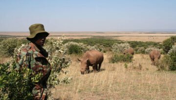 Conservation Safaris in Kenya